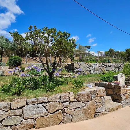 Διαμέρισμα Casa Kallinina *