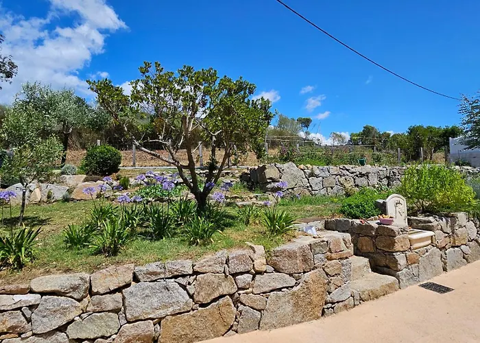 公寓 Casa Kallinina *